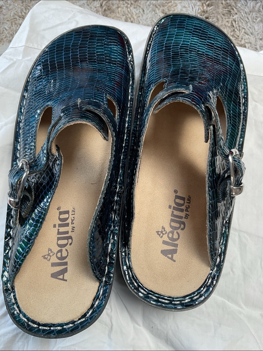 Alegria Teal Croc-Embossed Slip-On Mules with Buckle